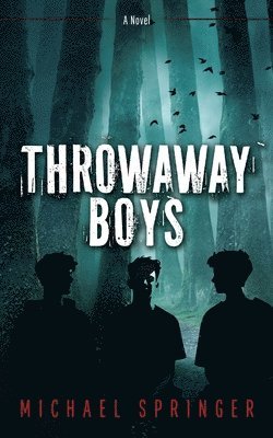 Michael Springer - Throwaway Boys, Häftad