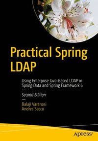 bokomslag Practical Spring LDAP