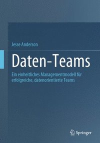 bokomslag Daten-Teams: Ein Einheitliches Managementmodell Für Erfolgreiche, Datenorientierte Teams