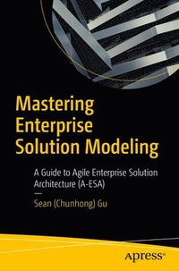 bokomslag Mastering Enterprise Solution Modeling