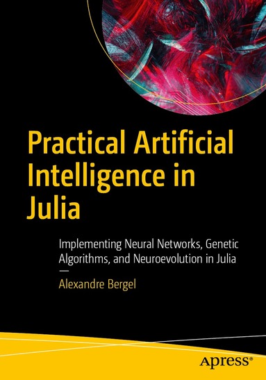 Alexandre Bergel - Practical Artificial Intelligence in Julia, Häftad