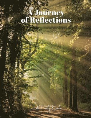 A Journey Of Reflections 1