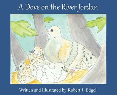 bokomslag A Dove on the River Jordan