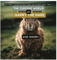 bokomslag The Curious World of Harry the Hare