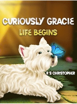 bokomslag Curiously Gracie - Life Begins