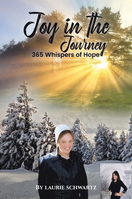 Joy in the Journey 1