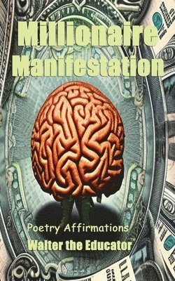 bokomslag Millionaire Manifestation
