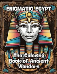 bokomslag Enigmatic Egypt