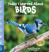bokomslag Today I Learned About Birds