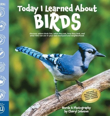 Today I Learned About Birds 1