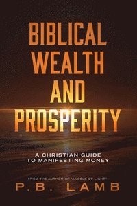 bokomslag Biblical Wealth and Prosperity