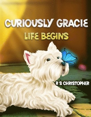 bokomslag Curiously Gracie Life Begins