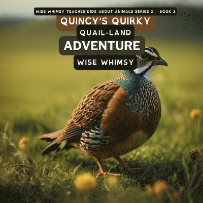 Quincy's Quirky Quail-land Adventure 1