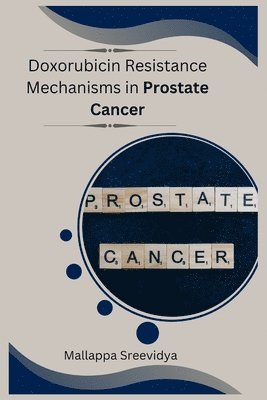 bokomslag Doxorubicin Resistance Mechanisms in Prostate Cancer