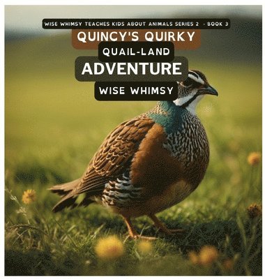 Quincy's Quirky Quail-land Adventure 1