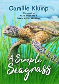 bokomslag A Simple Seagrass