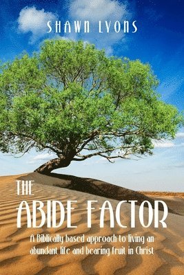 The Abide Factor 1