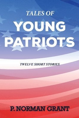 bokomslag Tales of Young Patriots