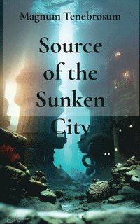 bokomslag Source of the Sunken City