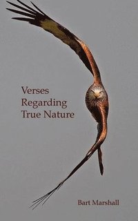 bokomslag Verses Regarding True Nature