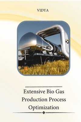 Vidya - Extensive Bio Gas Production Process Optimization, Häftad