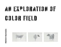 bokomslag An Exploration In Color Field