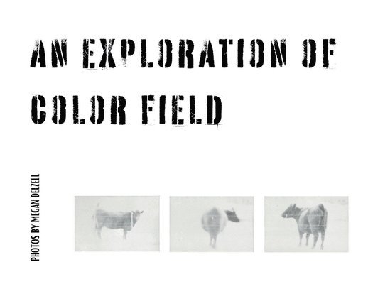 An Exploration In Color Field 1
