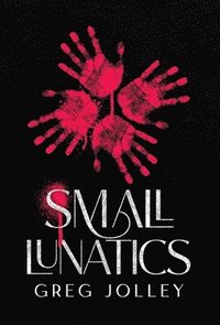 bokomslag Small Lunatics