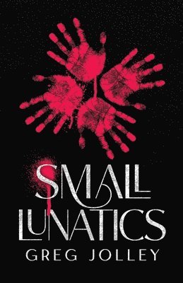 bokomslag Small Lunatics