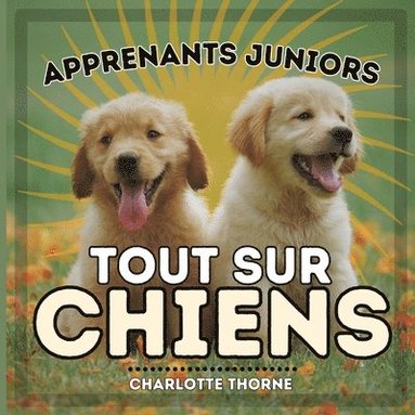 bokomslag Apprenants Juniors, Tout Sur Chiens