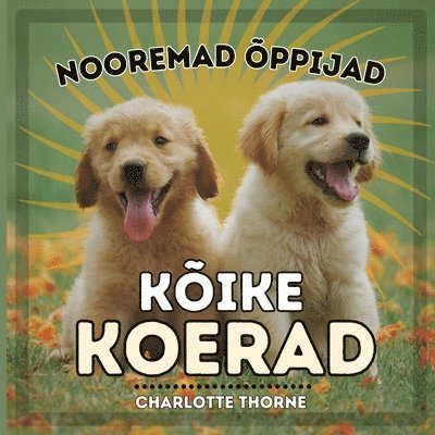 Charlotte Thorne - Nooremad Õppijad, Kõike Koerad, Häftad