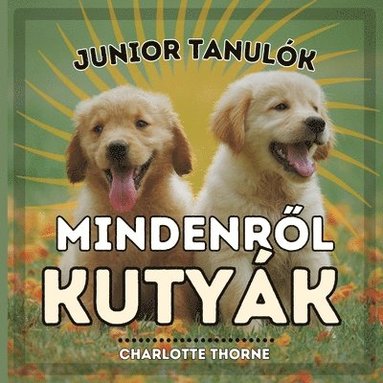bokomslag Junior Tanulók, MINDENR?L KUTYÁK