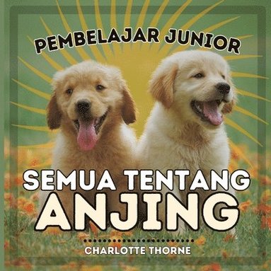 bokomslag Pembelajar Junior, Semua Tentang Anjing