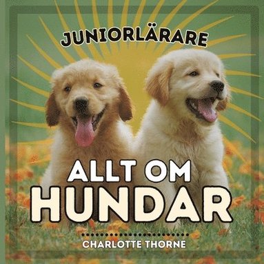 bokomslag Juniorlärare, Allt Om Hundar