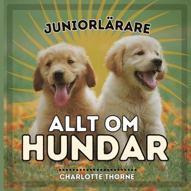 bokomslag Juniorlrare, Allt Om Hundar