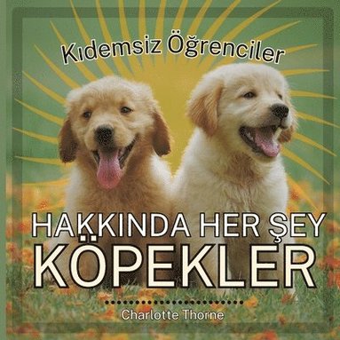 bokomslag K&#305;demsiz &#287;renciler, HAKKINDA HER &#350;EY KPEKLER