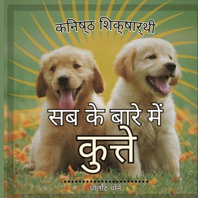 कनिष्ठ शिक्षार्थी, सब के बारे में कुत्ते