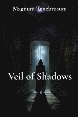 bokomslag Veil of Shadows