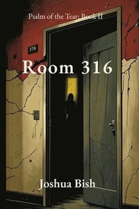 bokomslag Room 316