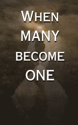 Victor Stone - When Many Become One, Häftad