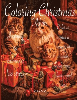 bokomslag Coloring Christmas