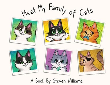 Steven James Williams - Meet My Family of Cats, Häftad