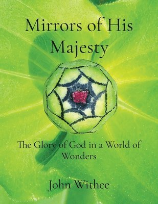 Mirrors of His Majesty 1