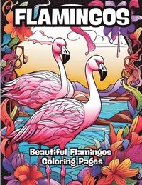 bokomslag Flamingos