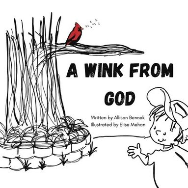 bokomslag Wink from God