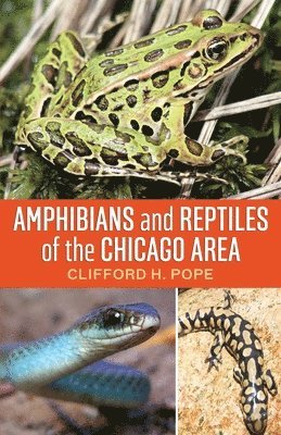 bokomslag Amphibians and Reptiles of the Chicago Area