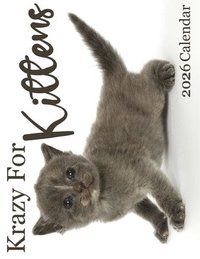 bokomslag Krazy for Kittens 2026 Calendar