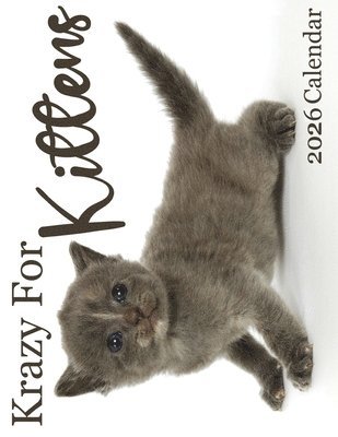 bokomslag Krazy for Kittens 2026 Calendar