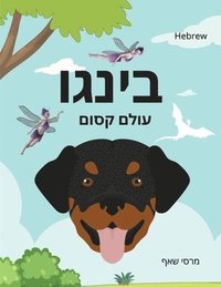 bokomslag &#1489;&#1497;&#1504;&#1490;&#1493; &#1506;&#1493;&#1500;&#1501; &#1511;&#1505;&#1493;&#1501; (HEBREW) Bingo's Magical World