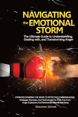 bokomslag Navigating the Emotional Storm